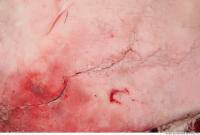 RAW meat pork 0158